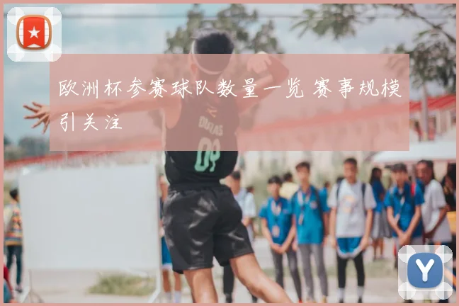 欧洲杯参赛球队数量一览 赛事规模引关注