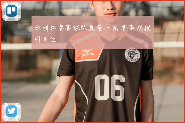 欧洲杯参赛球队数量一览 赛事规模引关注