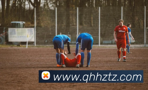 世界杯app官网服务体系